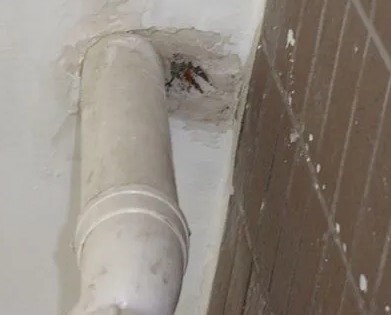 城中漏水检测哪家好